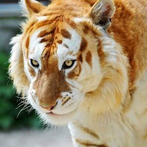 Meet your Posher, Miguel